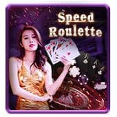 Live Roulette Game 